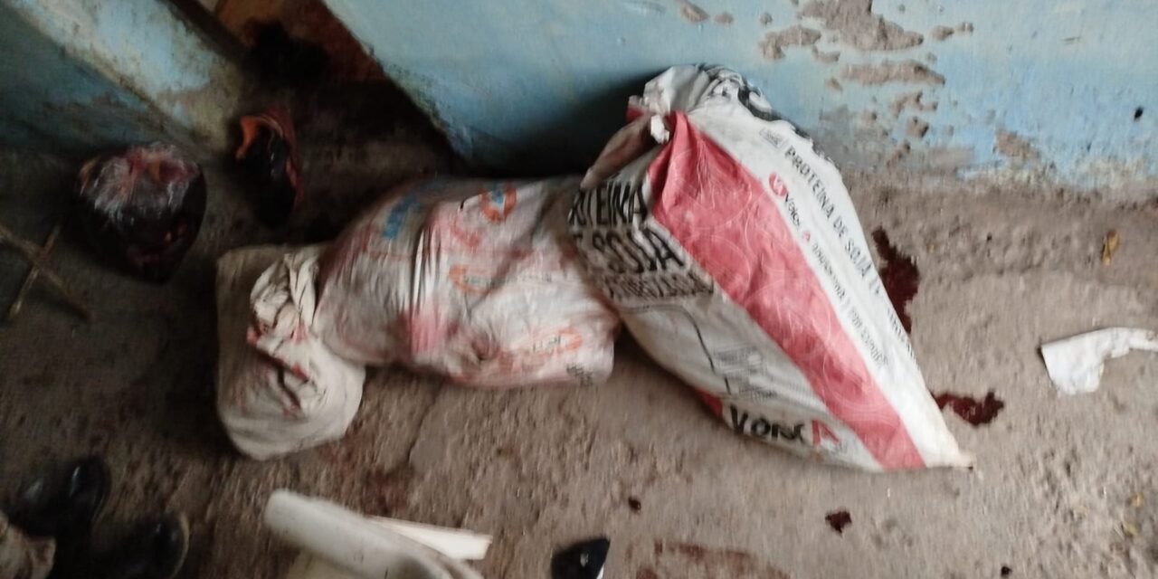 Allanamiento en Chimbas: Hallaron escopetas y animales faenados
