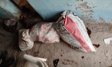 <div class="volanta-custom" style="
                color: #444;
                font-size: 0.8rem;
                font-weight: 600;
                line-height: 1.1;
                margin-bottom: 6px;
                text-transform: uppercase;
                letter-spacing: 0.3px;
                text-align: left;
            ">Imágenes impactantes</div><div class="post-title-custom" style="text-align: left;">Allanamiento en Chimbas: Hallaron escopetas y animales faenados</div>