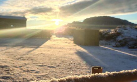 Así amaneció Ischigualasto: Mirá las increíbles imágenes, si hay foto…..