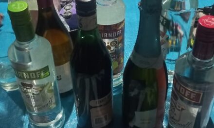 Allanamientos en Chimbas permitieron recuperar objetos robados en Capital