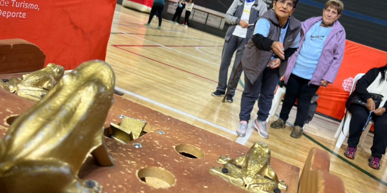 Juegos Provinciales Evita
