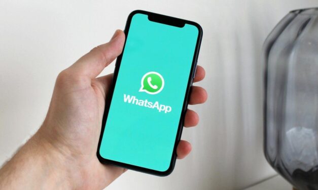 ¡Cuidado con las estafas! WhatsApp suma una nueva función para proteger a sus usuarios