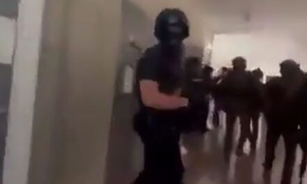 Masacre en una escuela de Austria dejó al menos 10 muertos y casi 30 heridos por un tiroteo