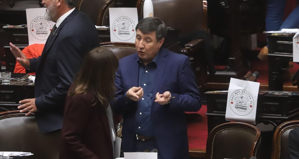 Diputados debate la emergencia en discapacidad, en medio del reclamo nacional