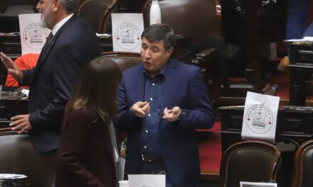 Diputados debate la emergencia en discapacidad, en medio del reclamo nacional