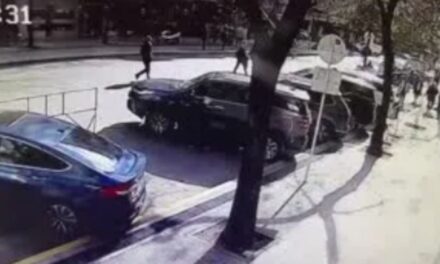 Emergen sospechas en torno al intento de robo al auto de Horacio Rosatti