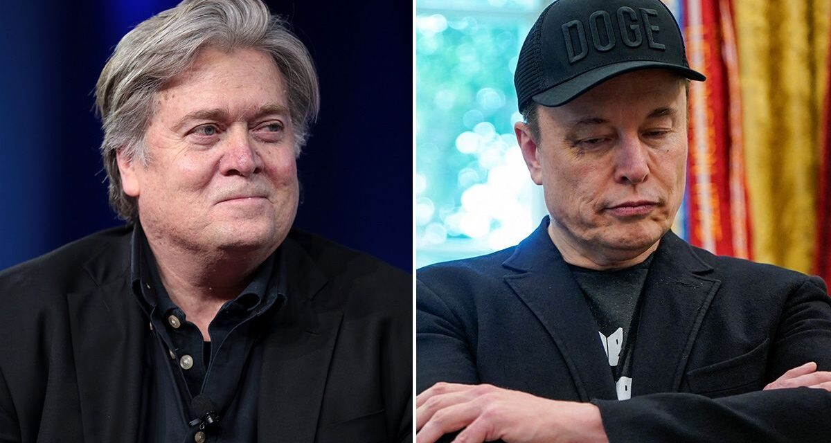 Steve Bannon le pidió a Donald Trump que deporte a Elon Musk y tome el control de SpaceX