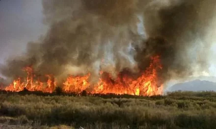 El viento y la imprudencia provocaron 16 incendios en un solo día en San Juan