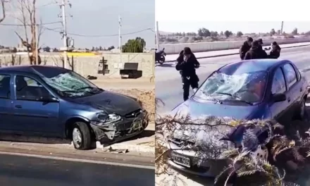 Motociclista sufrió fracturas tras ser embestida en Chimbas