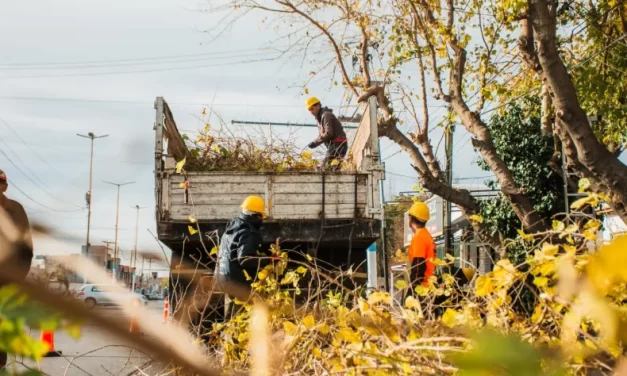 Chimbas intensifica operativos de limpieza y poda en distintos barrios