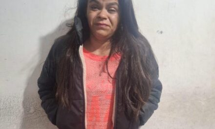 Una mujer detenida por robarle a un remisero