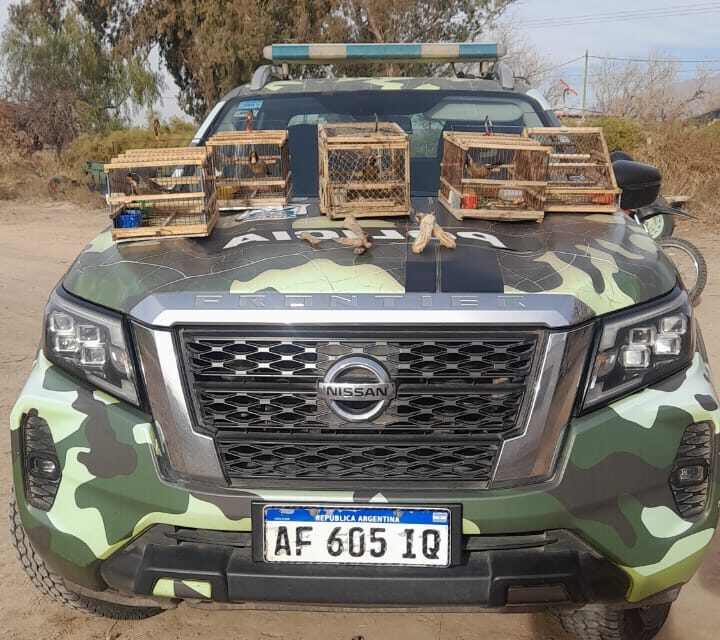 Cazadores sorprendidos con perros galgo y fauna silvestre en Bermejo