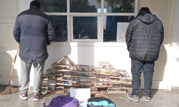 Secuestran jaulas, trampas y aves silvestres en un operativo rural