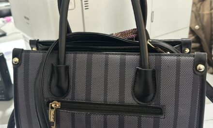 Motochorro quiso arrebatar una cartera y fue capturado