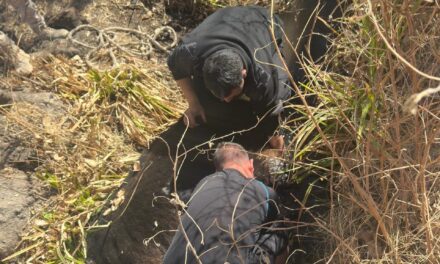 Milagroso rescate: Salvaron a un caballo atrapado en un canal en Rodeo