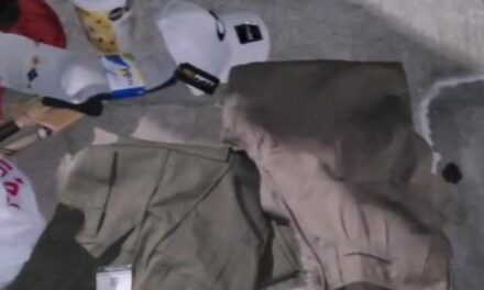 Intentó robar parlantes y lo atraparon: Mirá el video