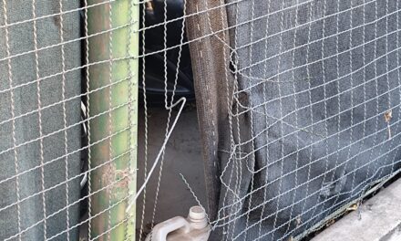 Robo en cochera del barrio San Martín