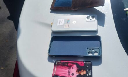 Civiles lo redujeron tras robar un celular