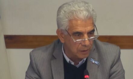 Allende pedirá informes a la empresa eléctrica por falta de inversiones