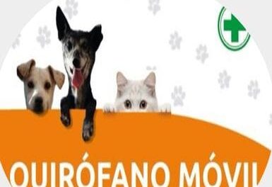 El Tráiler de Mascotas estará en la Delegación Este de Chimbas.