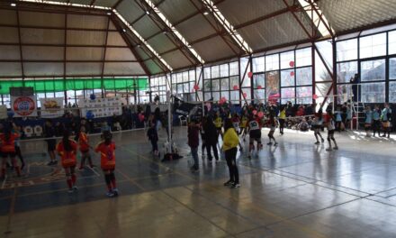 Una jornada inolvidable para el vóley infantil