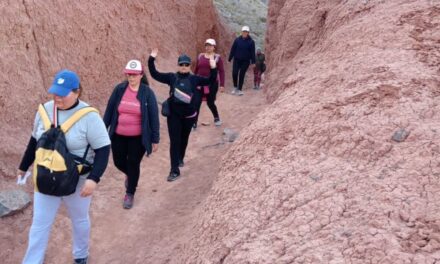 “Senderismo con amigos”