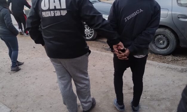 Lo detuvieron por el robo difundido en redes