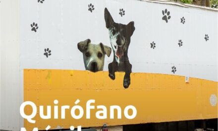 Quirófano Movil de Caninos y Felinos