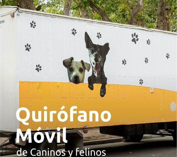 Quirófano Movil de Caninos y Felinos