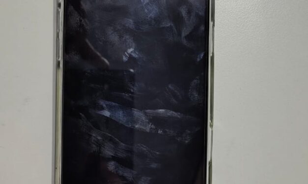 Robó un celular y se metió en una casa: Terminó detenido