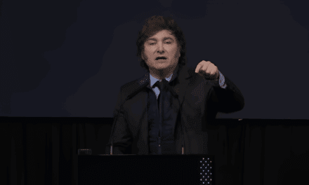 La Cámara que podría mantener en pie algunos de los vetos de Javier Milei