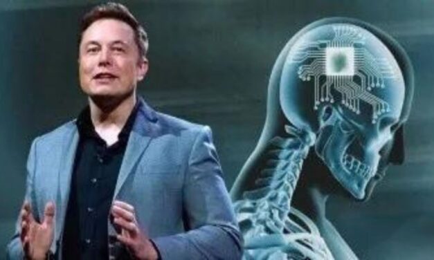 Neuralink proyecta 20.000 implantes cerebrales por año para 2031: Musk promete tratar el Parkinson y la ceguera