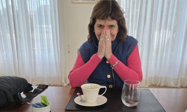 Javier Milei le marcó la cancha a Patricia Bullrich y sale al rescate de Karina