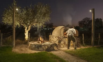 Unidos por el sabor y el paisaje: Nace un polo gastronómico en el corazón del Valle de Zonda