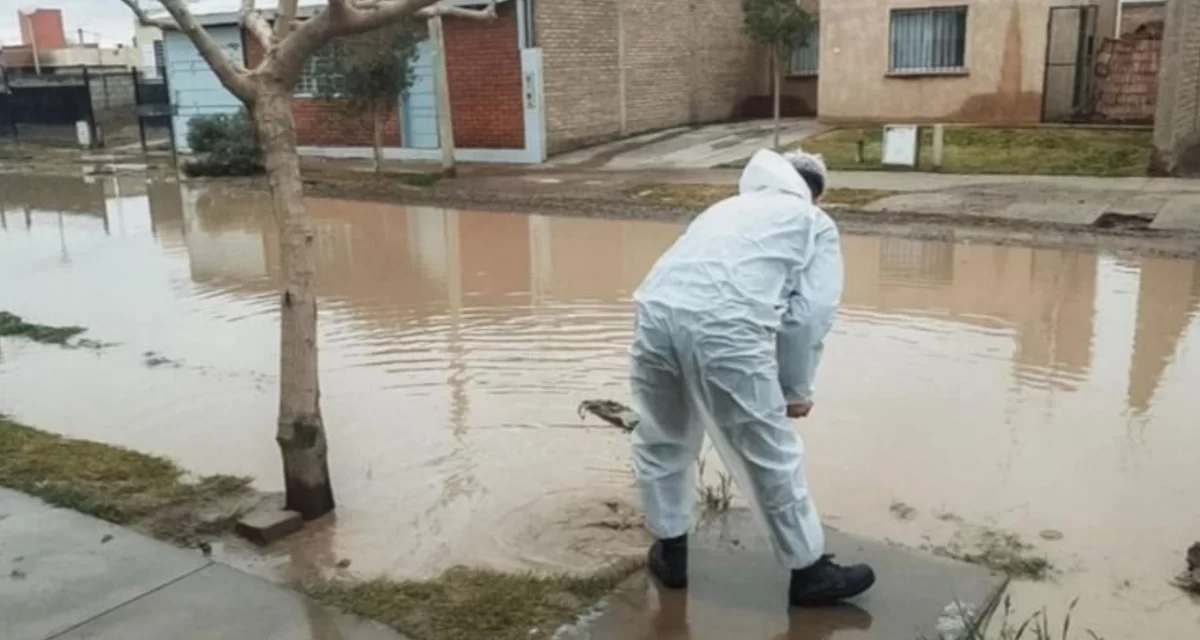 Temporal en Chimbas: Más de 500 familias recibieron asistencia