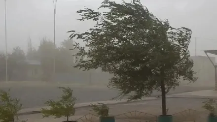 Tormentas, granizo y ráfagas: Fuerte alerta meteorológica para San Juan