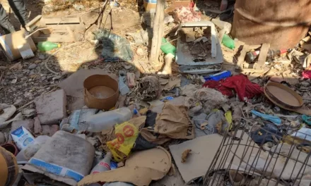 Hallazgo macabro en Pocito: Investigan la muerte de un hombre cuyo cuerpo apareció desmembrado