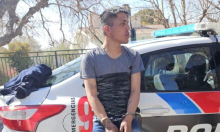 Robo frustrado en Capitán Lazo