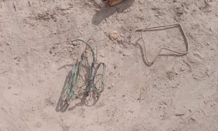 Hombre detenido tras robo en empresa de Chimbas