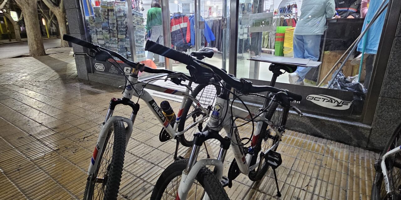 Intentó robar un buzo en pleno centro y terminó detenido