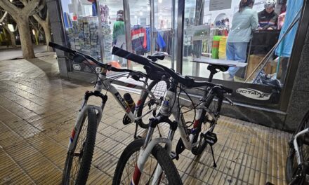 Intentó robar un buzo en pleno centro y terminó detenido