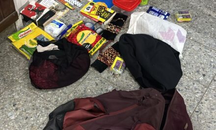 Extranjeros asaltados en Albardón: Dos detenidos con frondoso prontuario