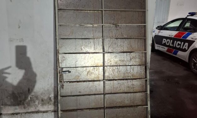 Detuvieron a un hombre que robó una puerta de chapa