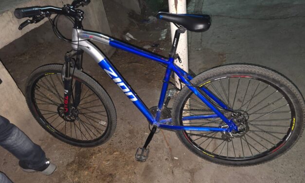 Intentó robar una bicicleta en un hogar de Capital y lo atraparon