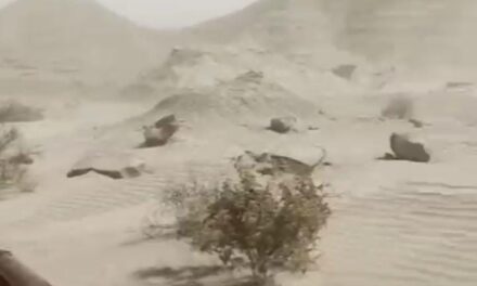 Video: Llegó el zonda a Ischigualasto