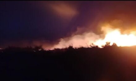 Ola de incendios y emergencias en San Juan tras la llegada del viento Zonda