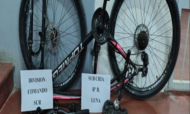 Pocito: Detuvieron a un menor por el robo de una bicicleta
