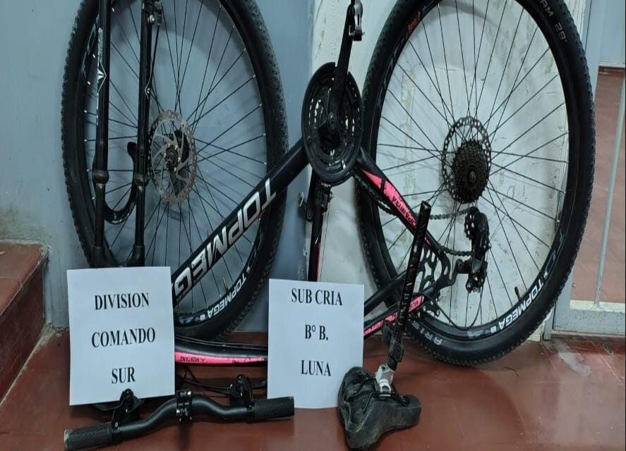 Pocito: Detuvieron a un menor por el robo de una bicicleta