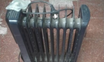 Cayó una banda de menores por un robo en Capital