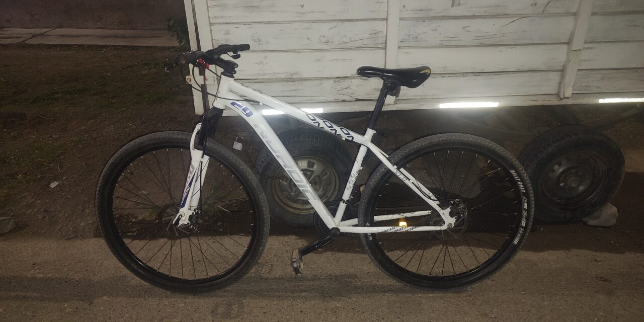 Robó una bicicleta de un almacén en Capital y fue detenido